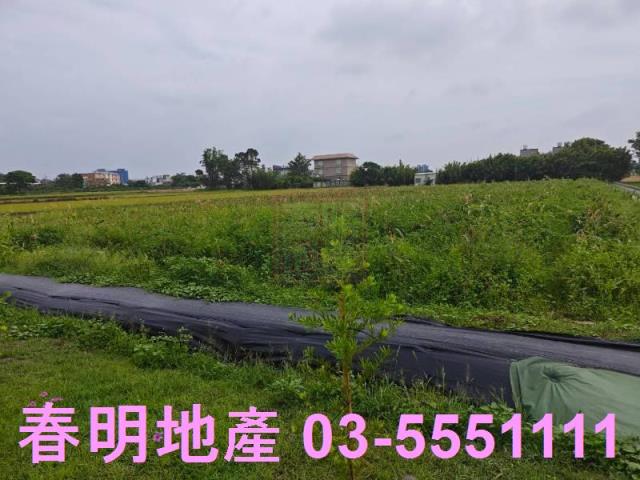 新竹湖口農地-6