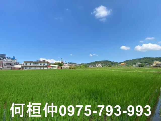 後龍農地-3