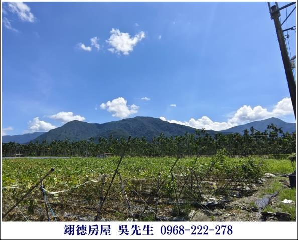 竹田火車站村庄旁農地