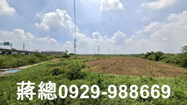 新市農地-10