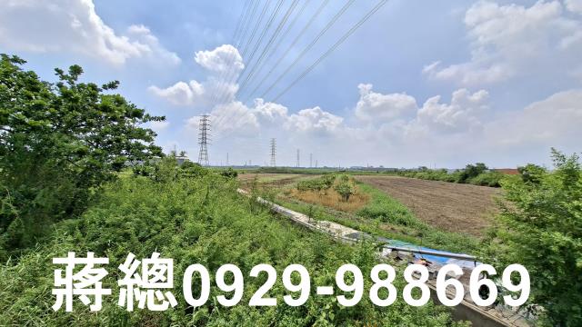 新市農地-6