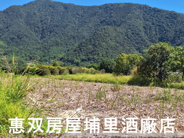 竹山桶頭農地8分5