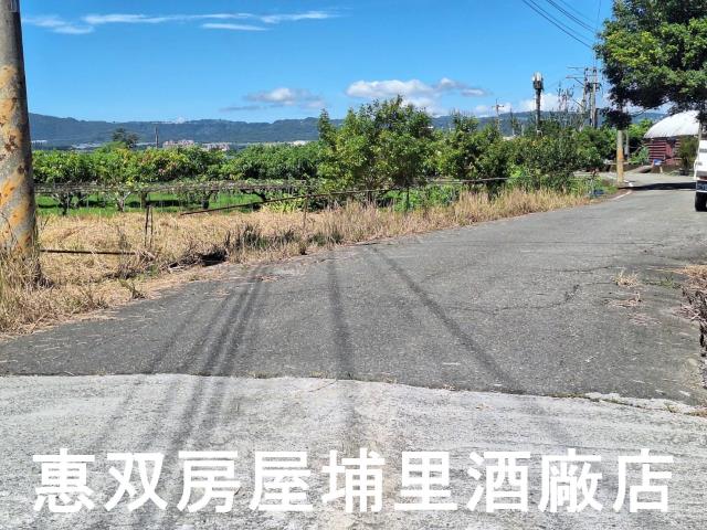 南投埔里農地-3
