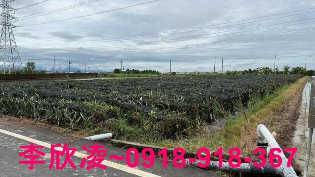 嘉義民雄農地-5