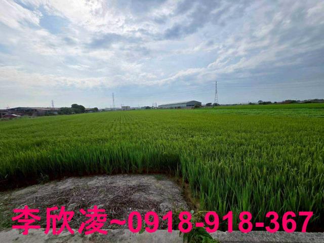 雲林北港農地-8