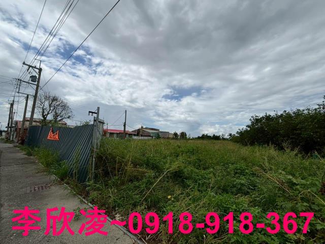 嘉義新港農地-3