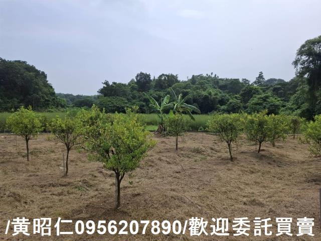 台南新化農地-0