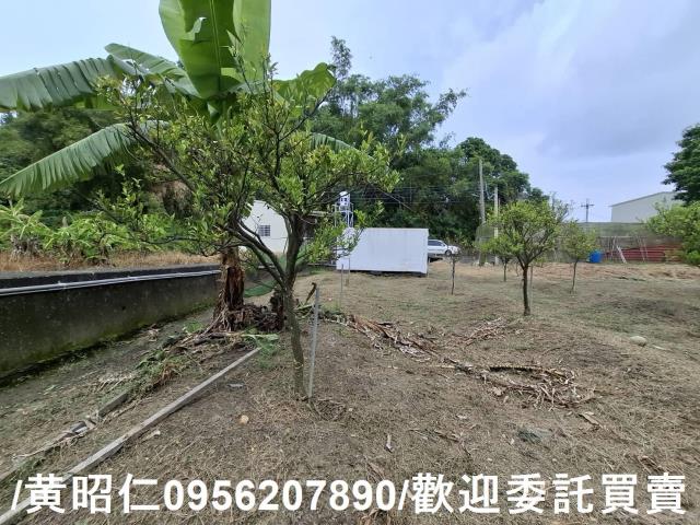 台南新化農地-4