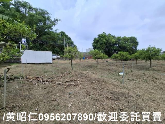 台南新化農地-6