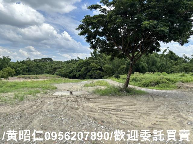 台南關廟農地-8