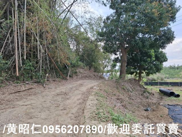 台南關廟農地-9