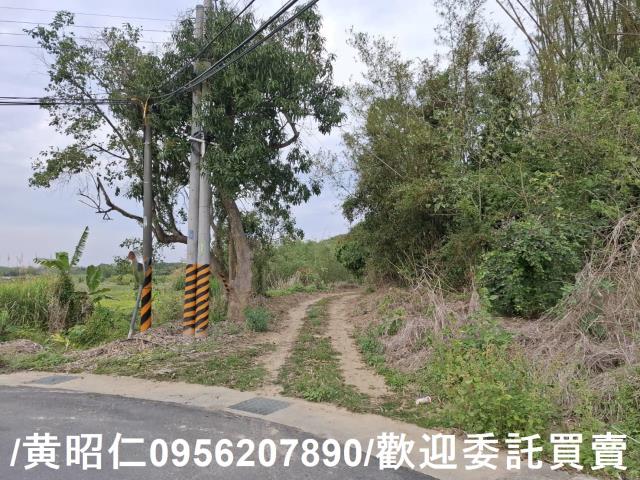 台南關廟農地-10