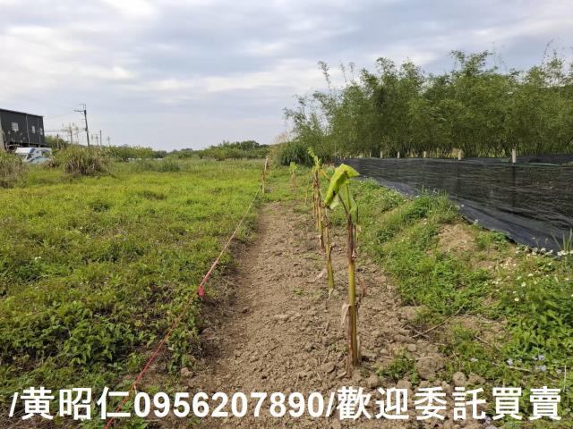 台南關廟農地-6