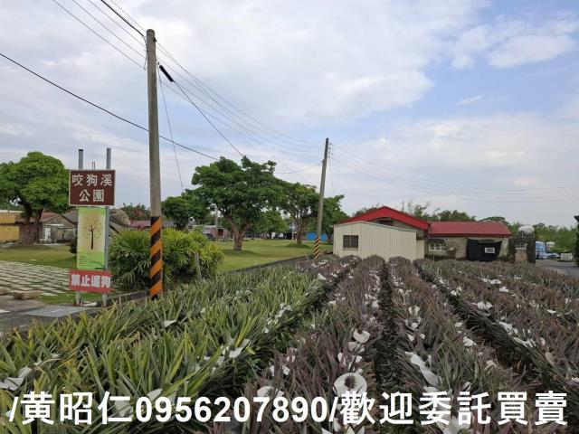 台南關廟農地-8