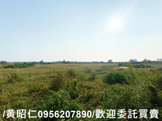 台南仁德農地-2