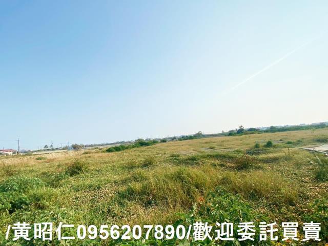 台南仁德農地-3