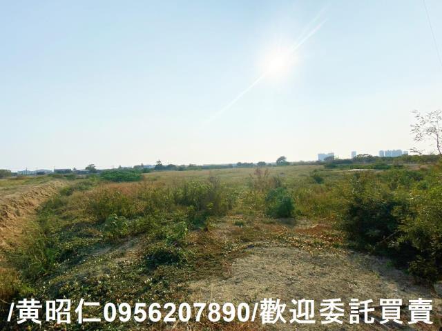 台南仁德農地-5