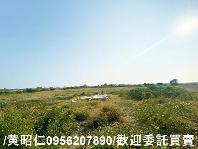 台南仁德農地-6