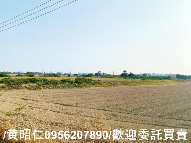 台南仁德農地-8