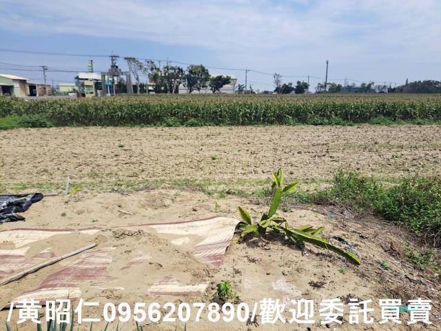 台南學甲農地-0