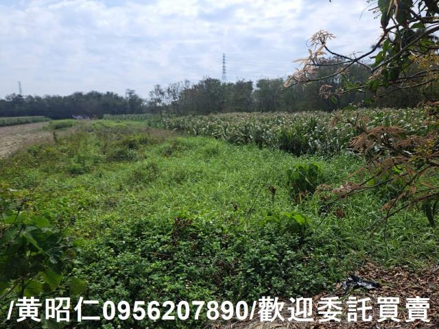 台南學甲農地-3