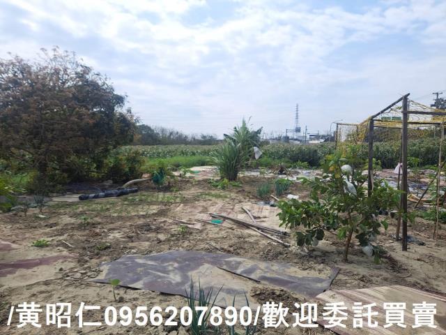 台南學甲農地-5
