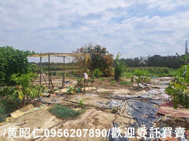 台南學甲農地-7