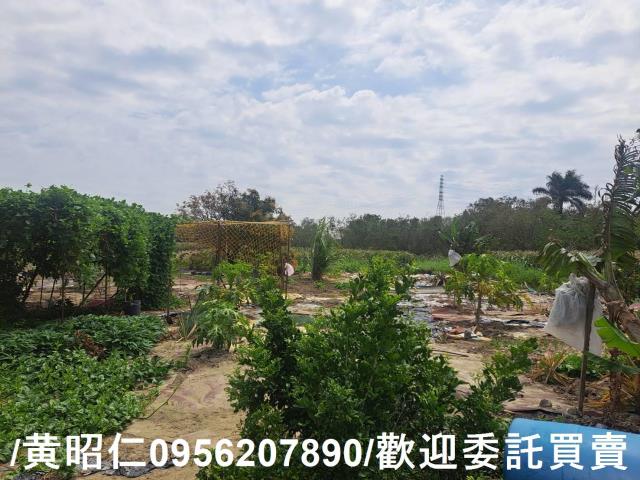 台南學甲農地-8