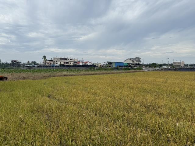 屏東內埔農地出售