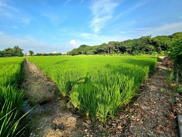 方正平坦都計內1分地