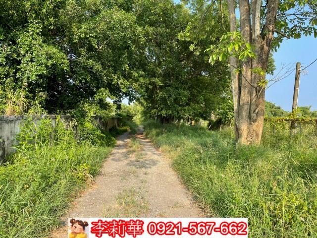 台南農地-12