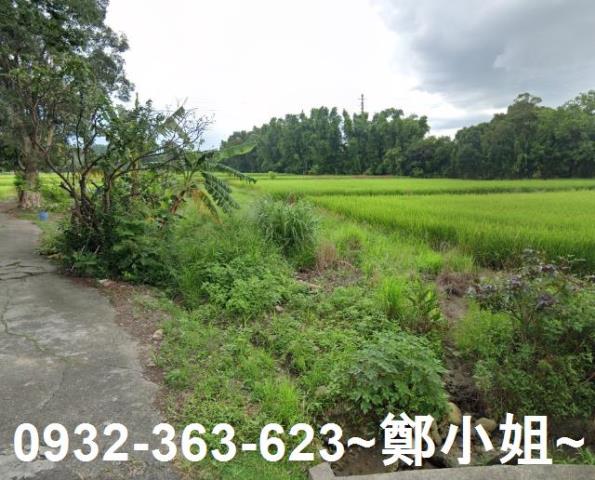 桃園中壢農地-1