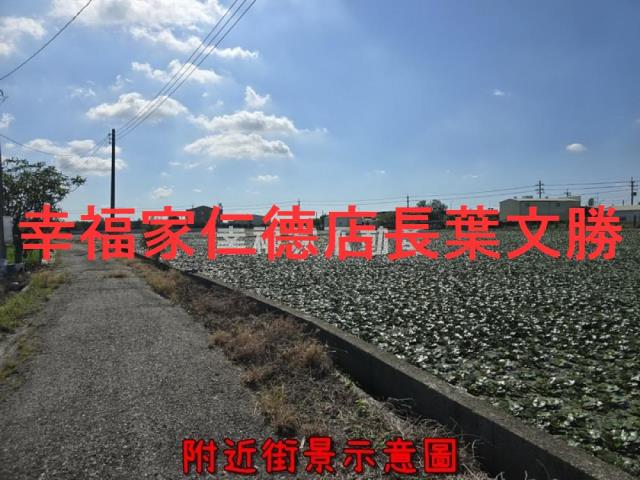 台南麻豆農地-8