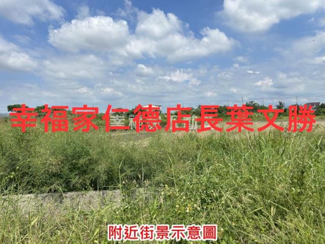 台南麻豆農地-10