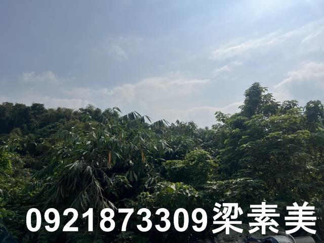 台南龍崎農地-1