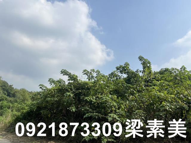 台南龍崎農地-3