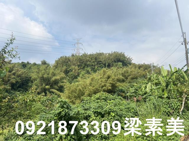 台南龍崎農地-5