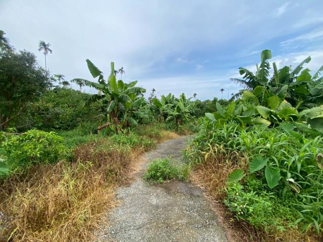 嘉義阿魯米建地農地買賣台灣房屋嘉義湖子內店富鑫團隊呂昆佩