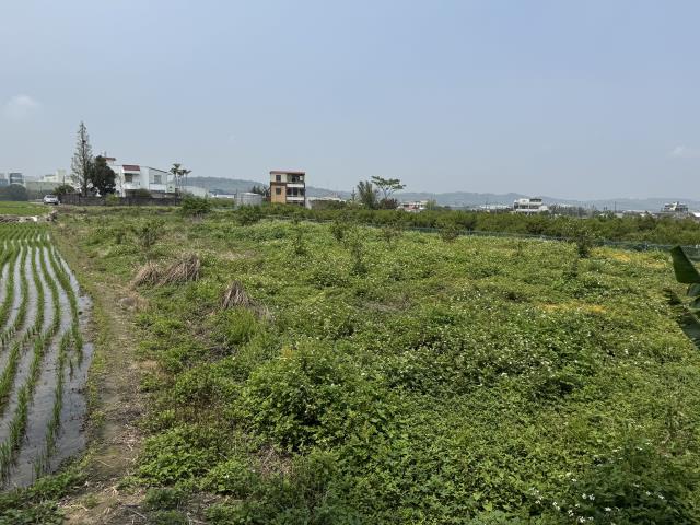 8D311新店小木屋