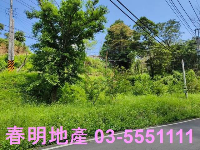 新竹橫山農地-8