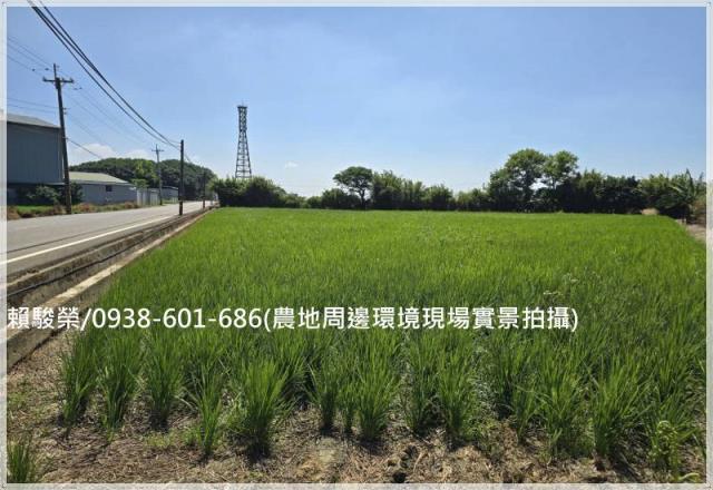 桃園新屋正新湖路農地