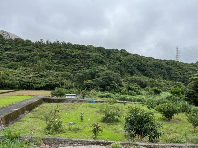 桃園農地-1