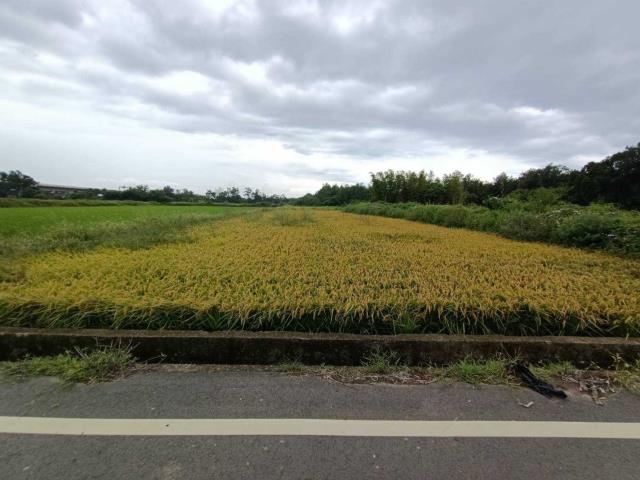 林口A7站附幼兒園建照土地