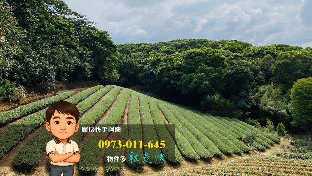 桃園蘆竹農地-4