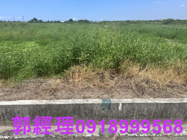 台南七股農地-1