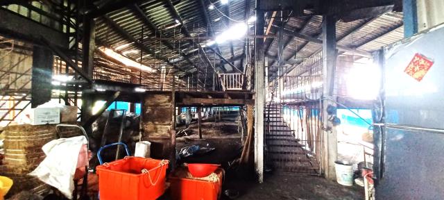 高雄阿蓮農地-4