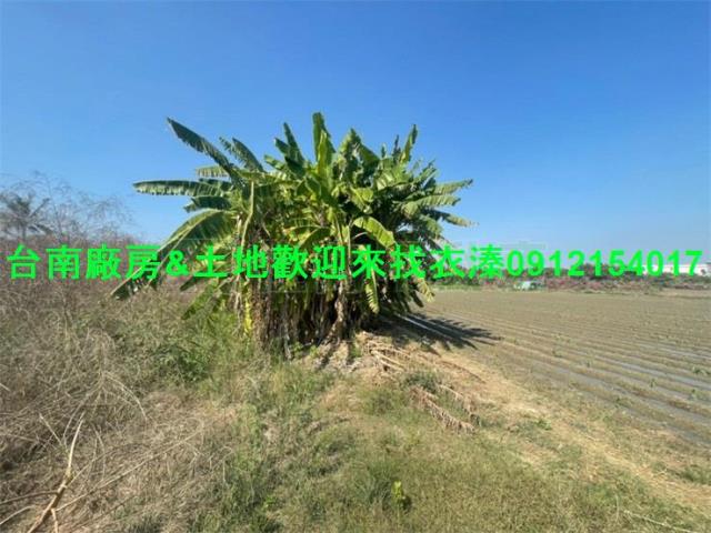 台南安南農地-0