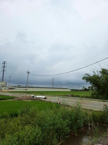 台南白河農地-2