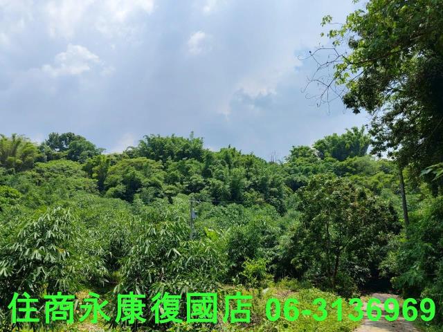 台南左鎮農地-10