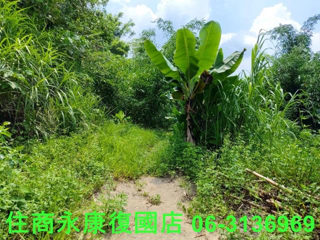 台南左鎮農地-0